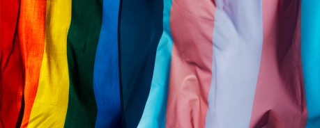 Gay and trans pride flags