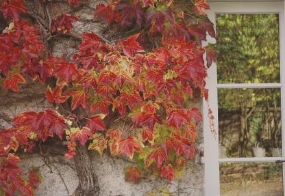 Kunstauktion 2024_Herbst/Bourgogne